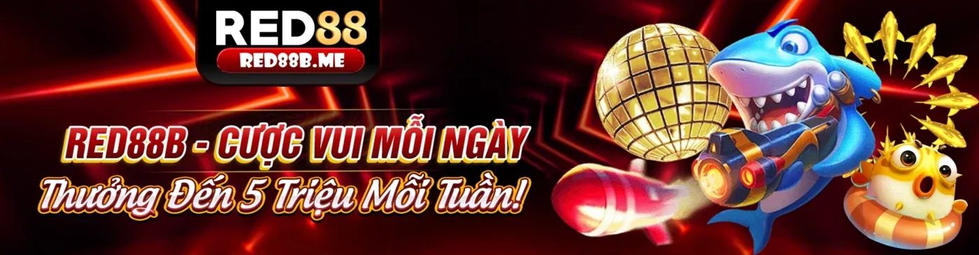 Tính năng nổi bật của rwin