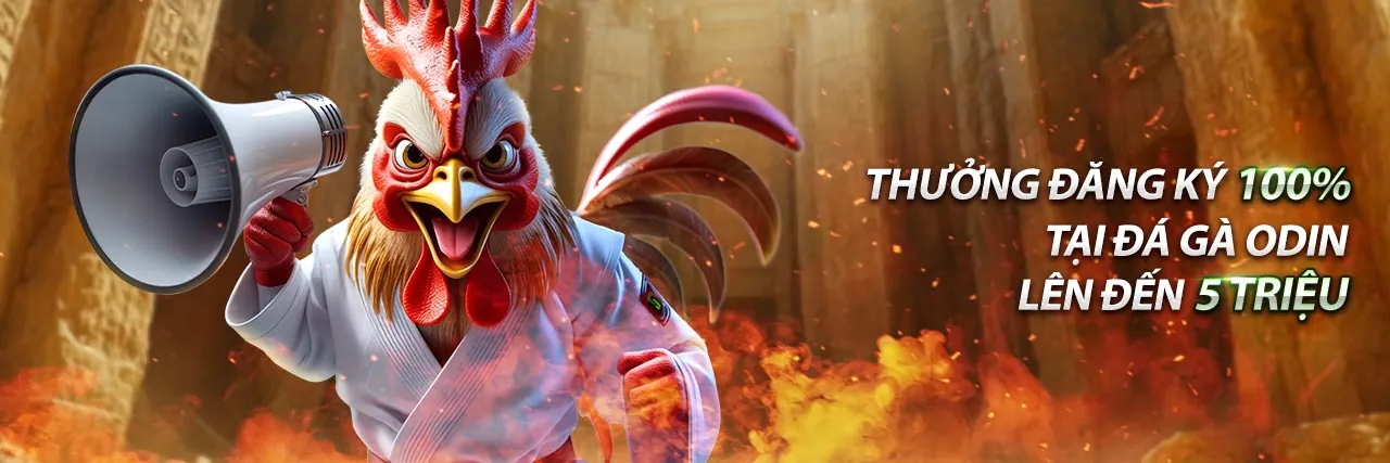 Ứng dụng rwin trên điện thoại di động