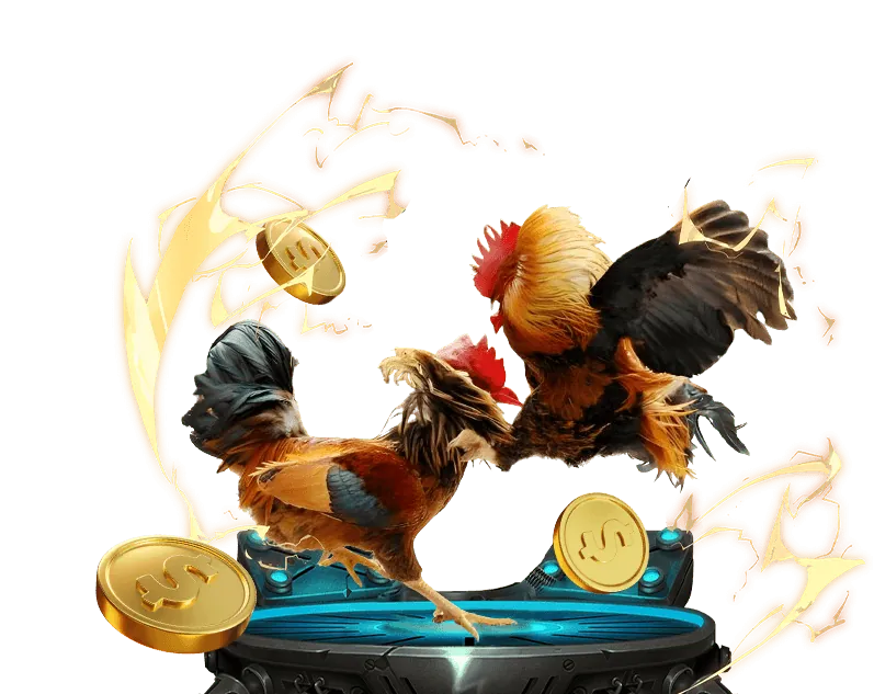 Nền Tảng Bảo Mật rwin